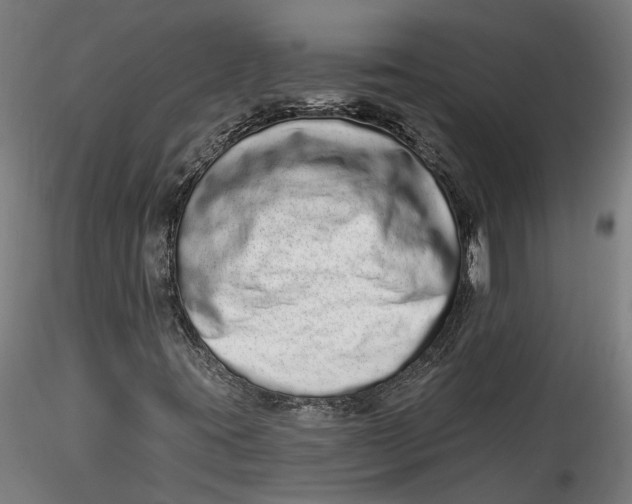 X0000115521395200911271312