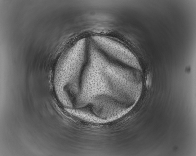 X0000115521396200911271312