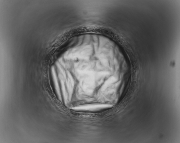 X0000115521397200911271312