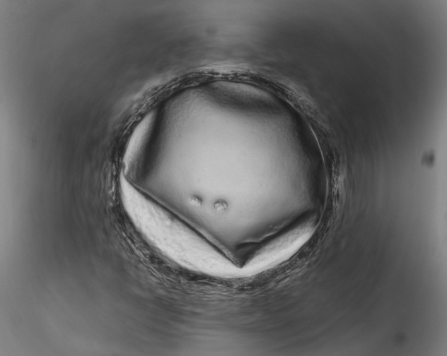 X0000115521398200911271312