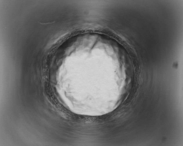 X0000115521399200911271312