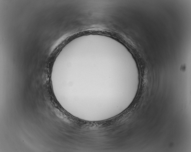 X0000115521400200911271312