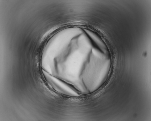 X0000115521402200911271312