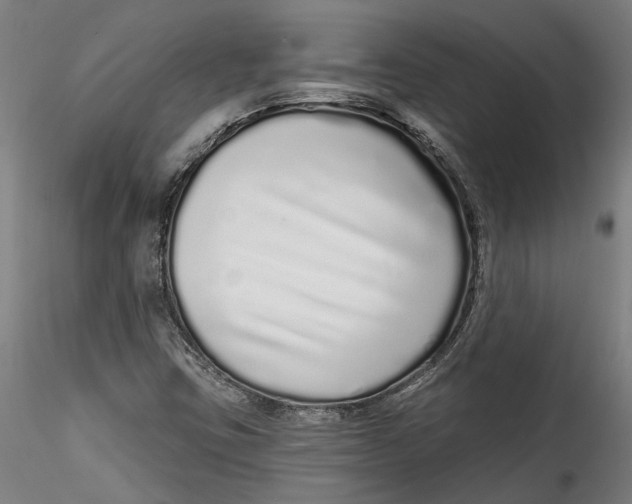 X0000115521403200911271312