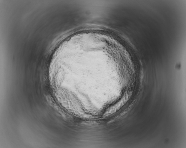 X0000115521405200911271312