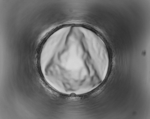 X0000115521406200911271312