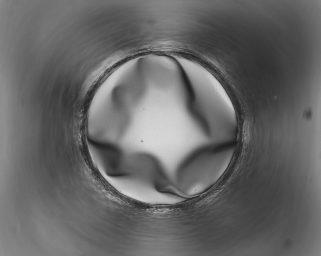 X0000115521410200911271312