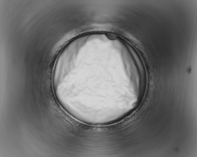 X0000115521411200911271312