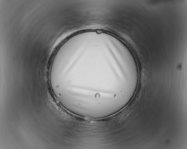 X0000115521412200911271312