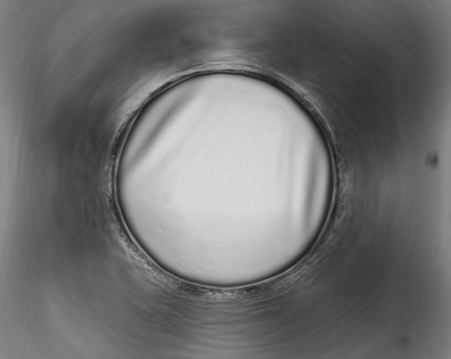 X0000115521415200911271312