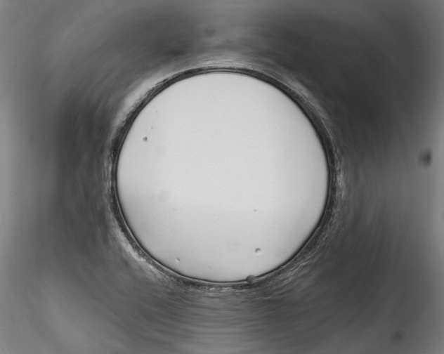 X0000115521416200911271312