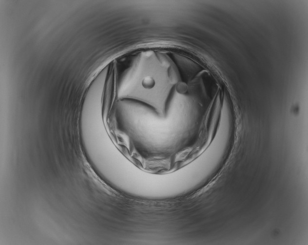 X0000115521417200911271312