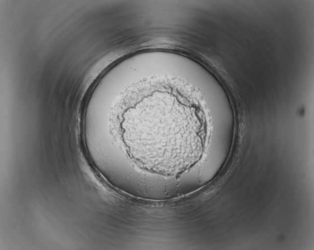 X0000115521418200911271312