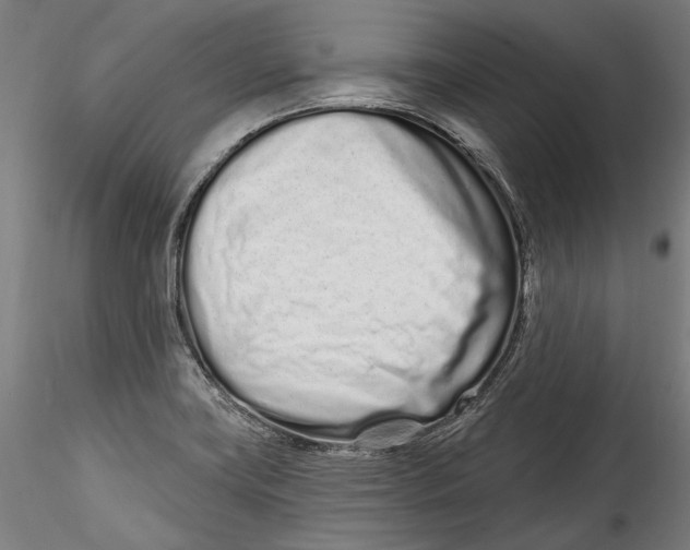 X0000115521419200911271312