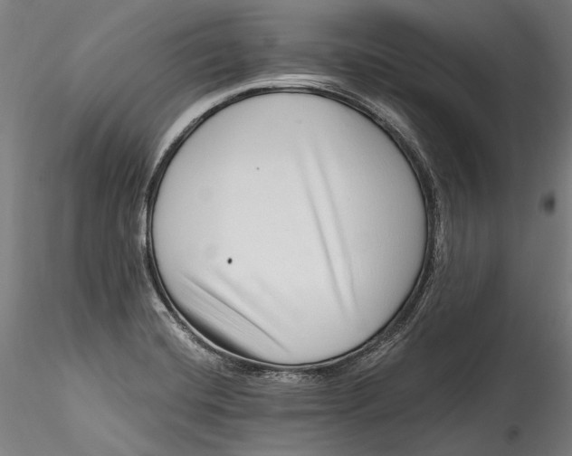 X0000115521420200911271312