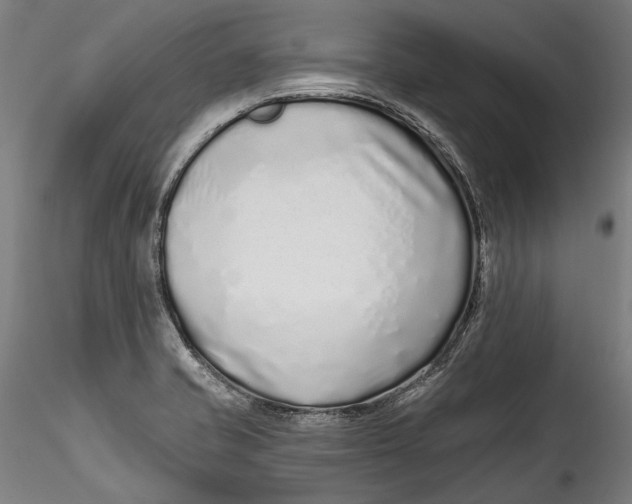 X0000115521421200911271313