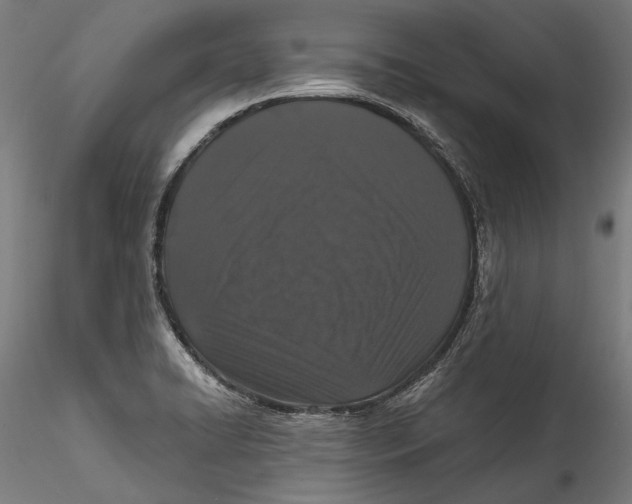 X0000115521422200911271313