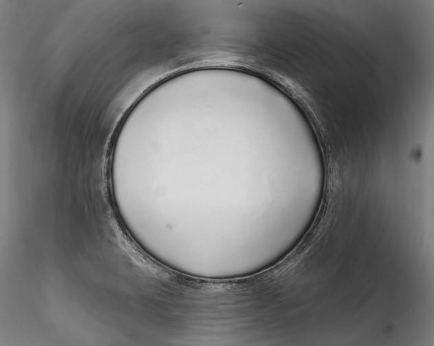 X0000115521423200911271313