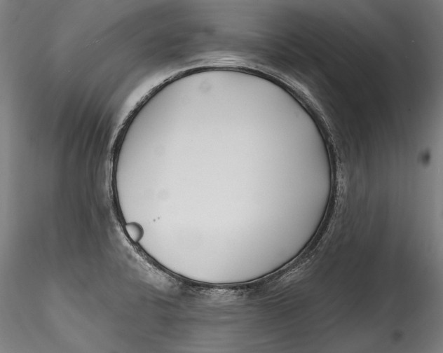 X0000115521424200911271313