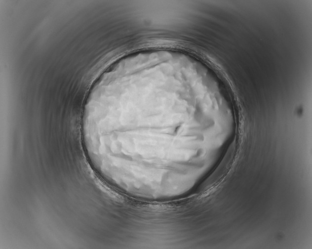 X0000115521425200911271313