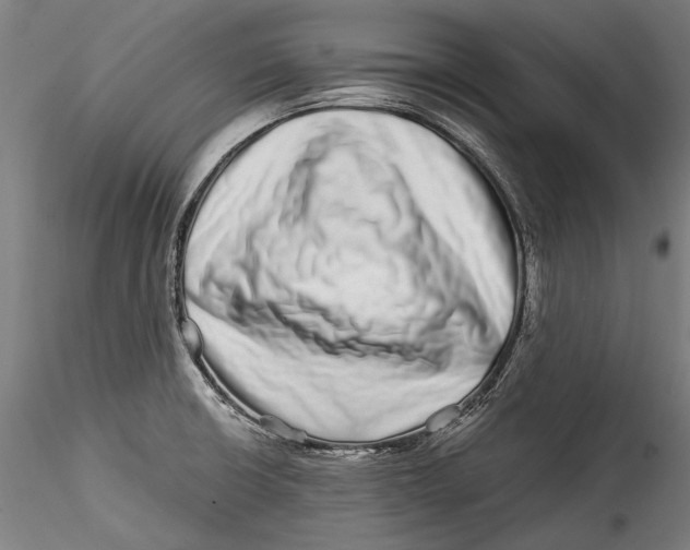 X0000115521426200911271313