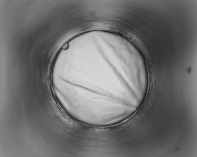 X0000115521427200911271313