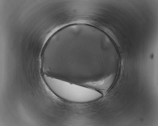 X0000115521428200911271313