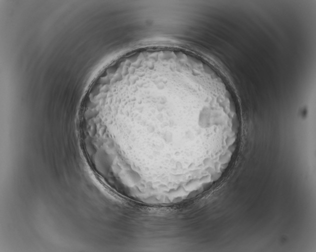 X0000115521429200911271313