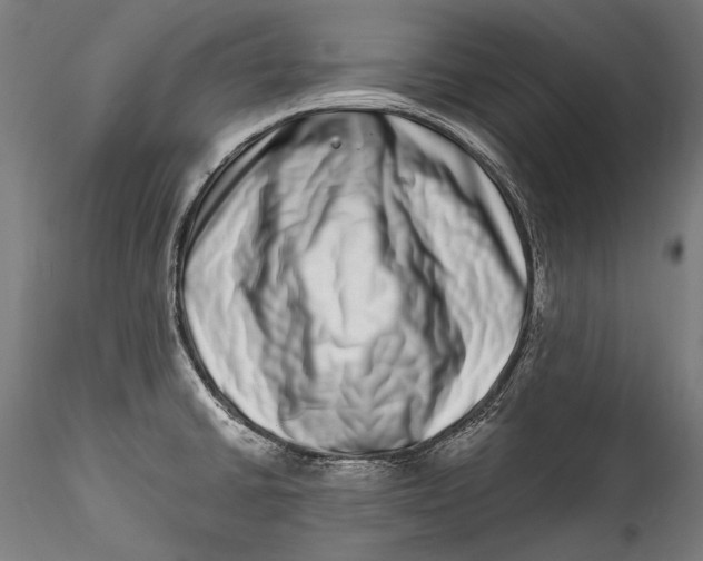 X0000115521430200911271313