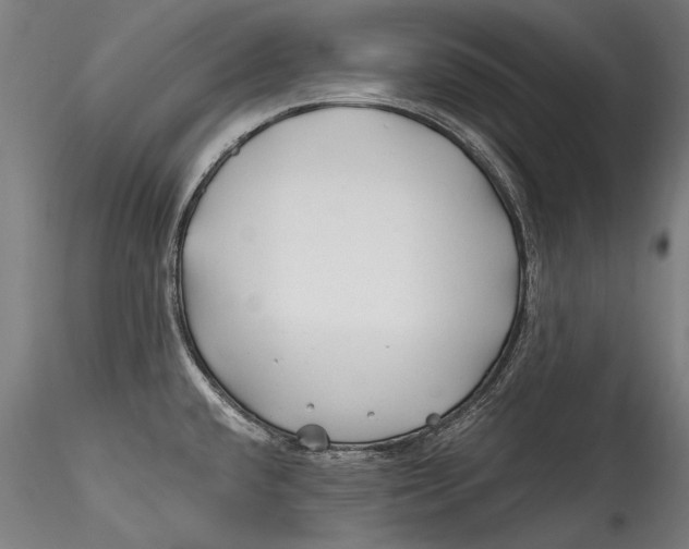 X0000115521432200911271313