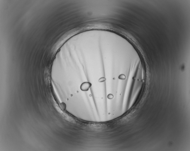 X0000115521433200911271313