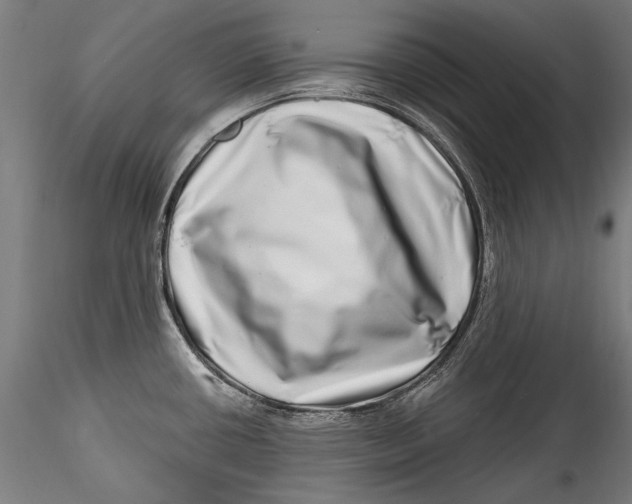 X0000115521434200911271313