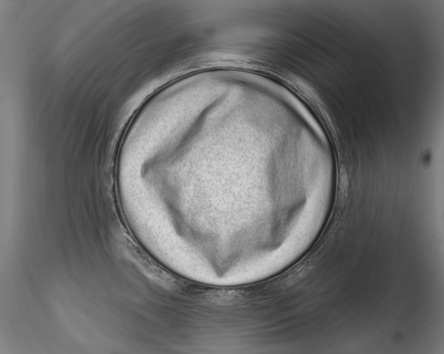 X0000115521435200911271313