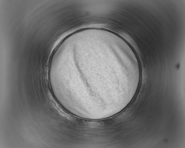 X0000115521436200911271313