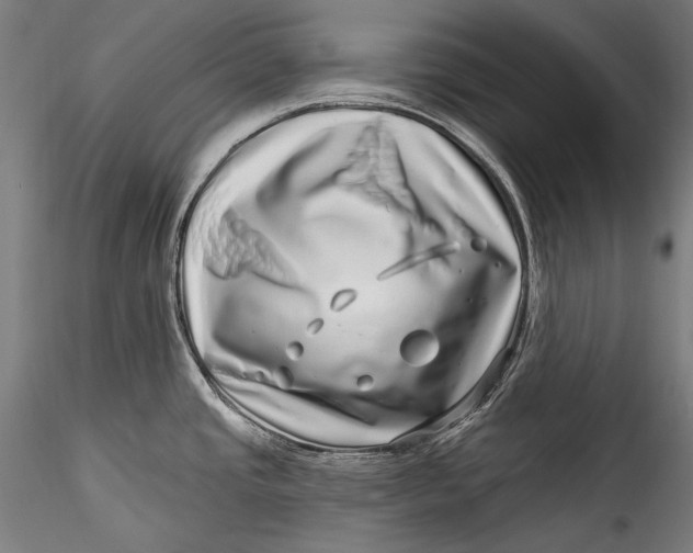 X0000115521437200911271313