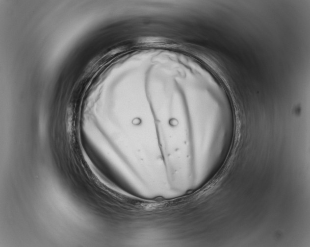 X0000115521438200911271313