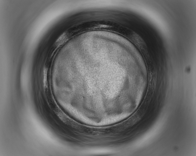 X0000115521439200911271313