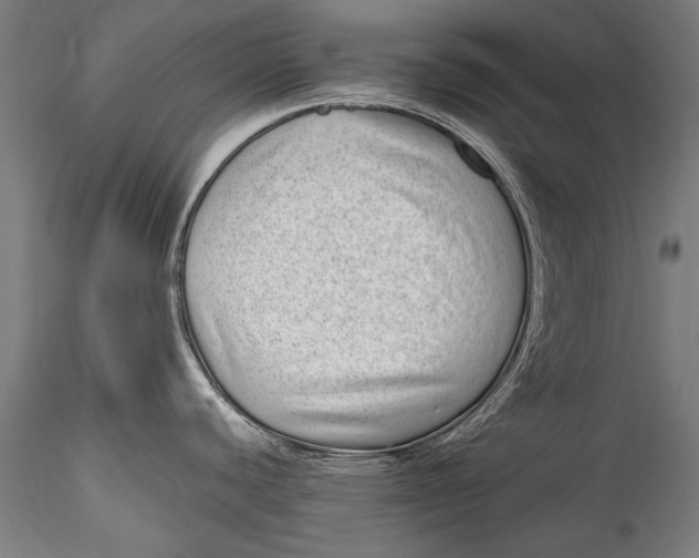 X0000115521440200911271313