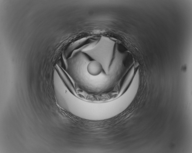 X0000115521441200911271312