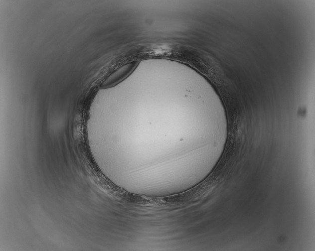 X0000115521442200911271312