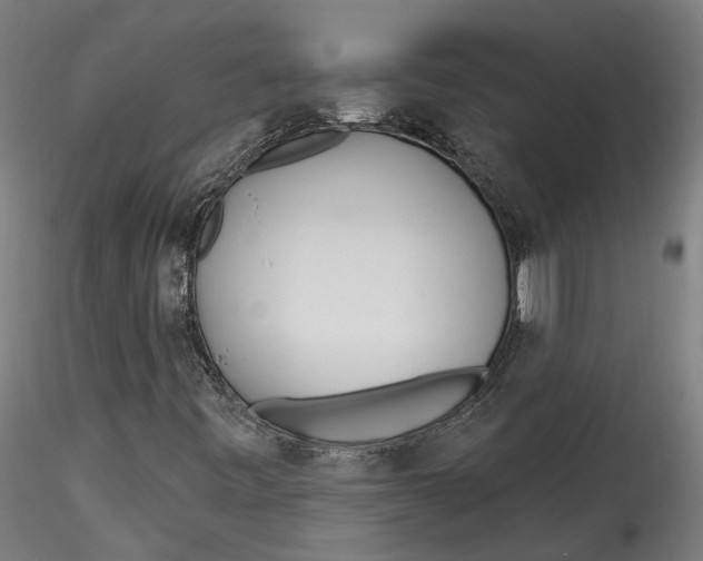 X0000115521443200911271312