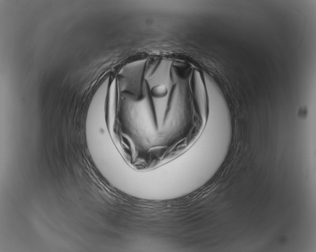 X0000115521444200911271312