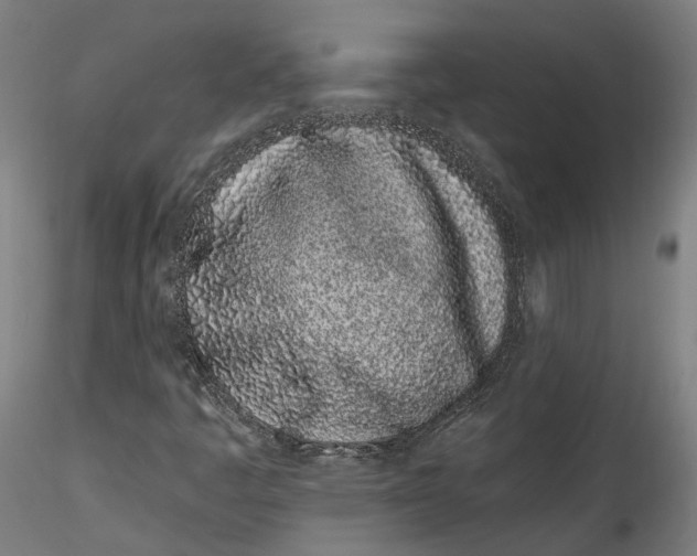 X0000115521445200911271312