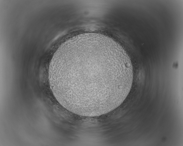 X0000115521446200911271312