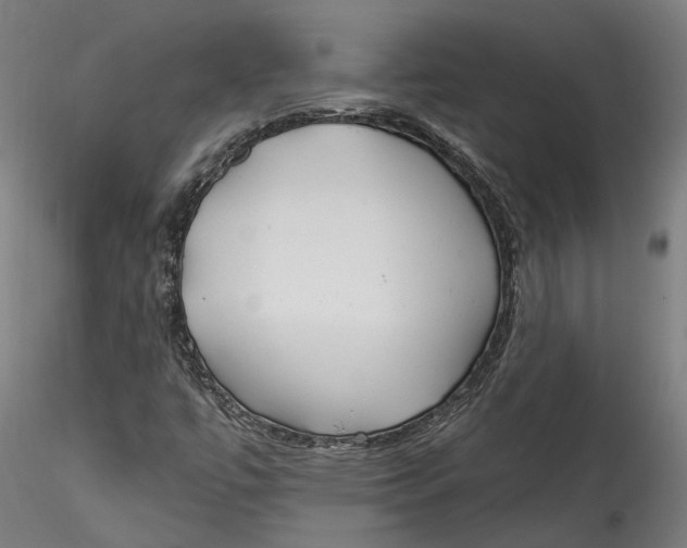 X0000115521447200911271312