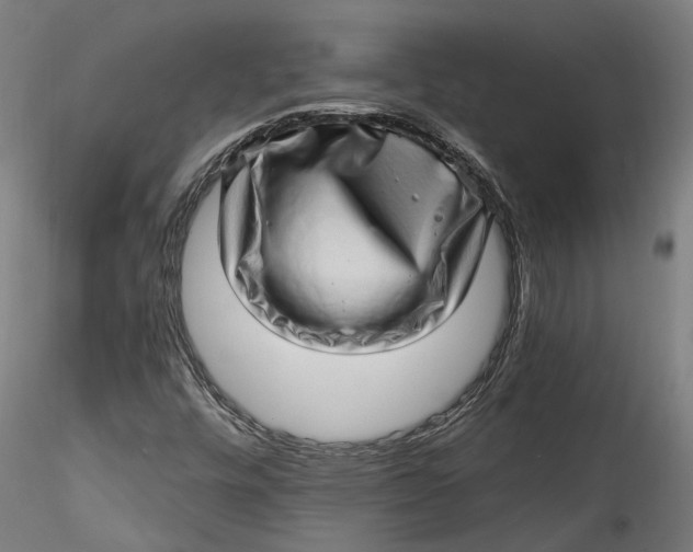 X0000115521448200911271312