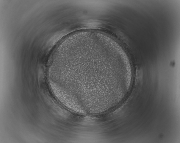 X0000115521449200911271312