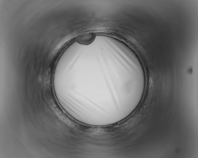 X0000115521450200911271312