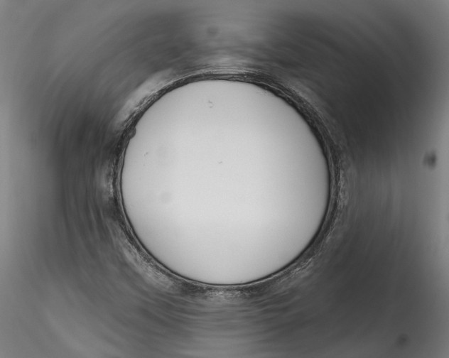 X0000115521451200911271312