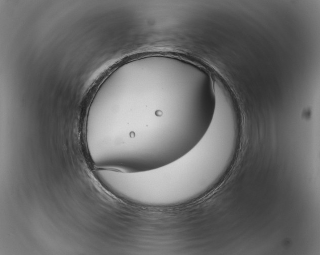 X0000115521452200911271312